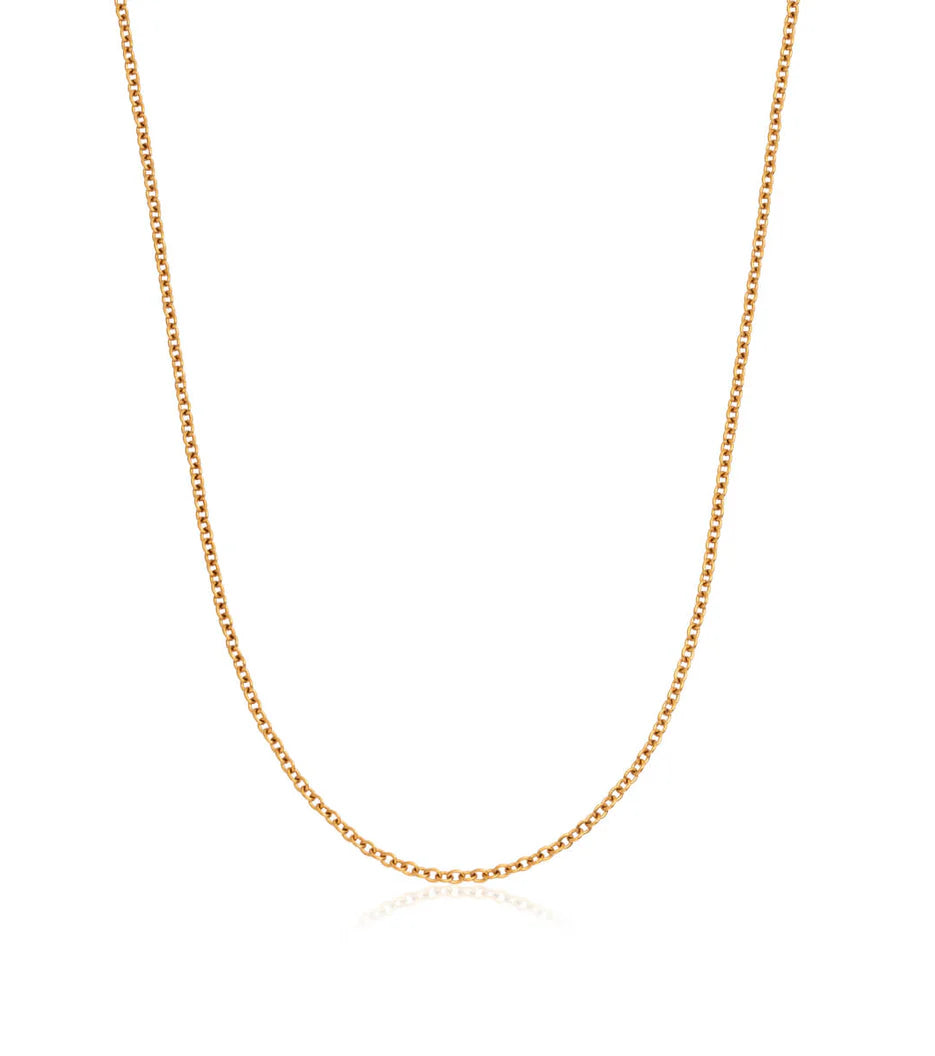 Fine Chain Necklace (Gold)